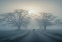 बिहार में ठंड का कहर बरकरार, गयाजी 4.1 डिग्री के साथ सबसे ठंडा जिला घने कोहरे से ढकी सड़क पर चलते व्यक्ति, बिहार में कड़ाके की ठंड और शीतलहर का असर